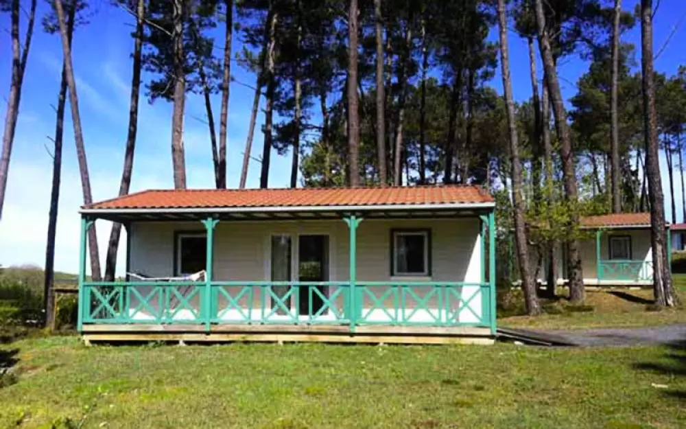 Domaine des Grands Pins 4 Estrellas★★★★