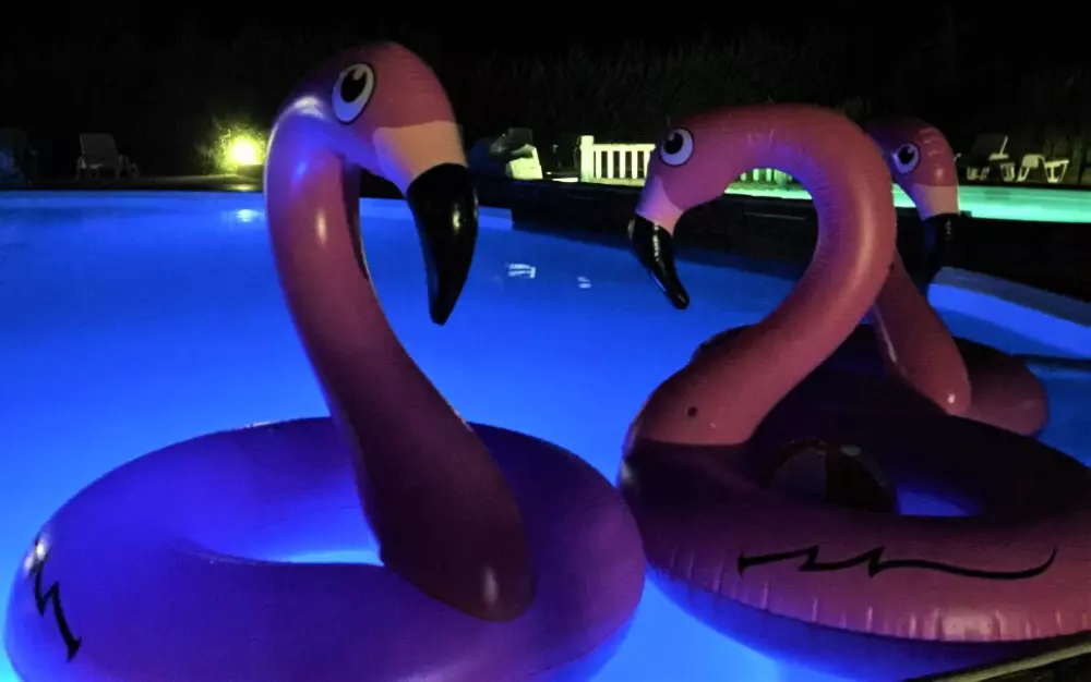 Domaine des Grands Pins 4 Estrellas★★★★