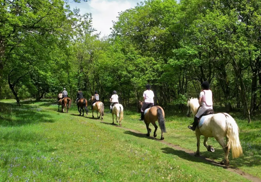 Domaine des Grands Pins 4 Estrellas★★★★