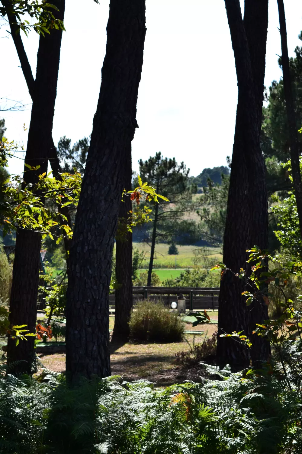 Domaine des Grands Pins 4 Estrellas★★★★