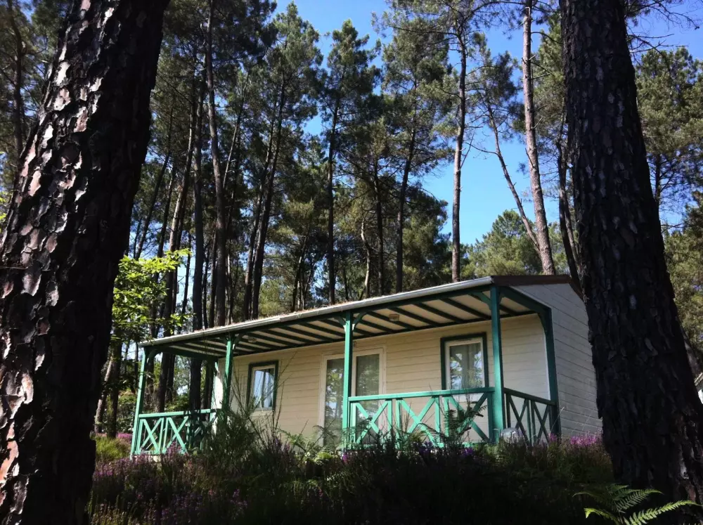 Domaine des Grands Pins 4 Estrellas★★★★