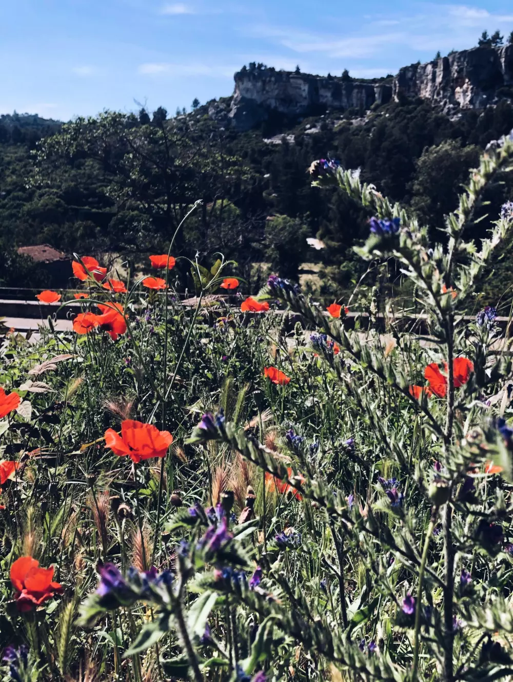 Camping Saint Gabriel 3 Sterren★★★