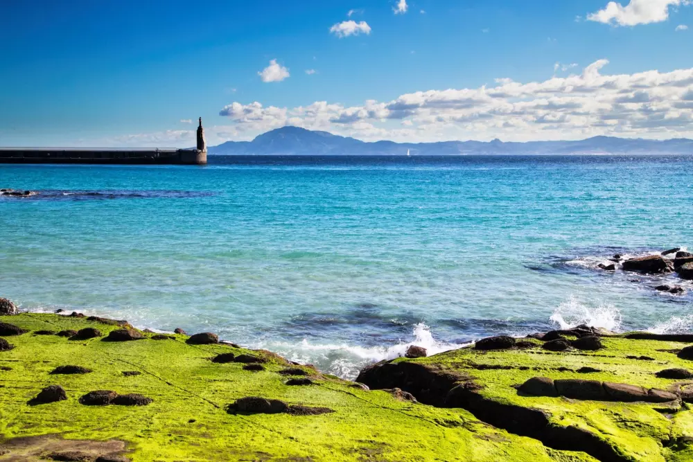 TAIGA Tarifa Punta Paloma