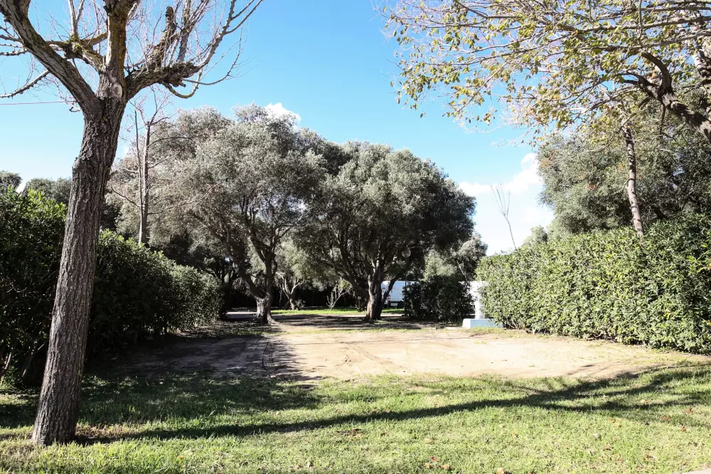 TAIGA Tarifa Valdevaqueros