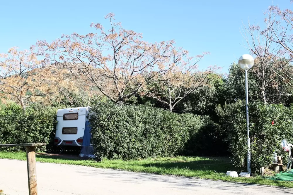 TAIGA Tarifa Valdevaqueros