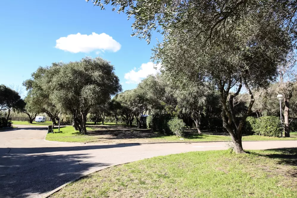 TAIGA Tarifa Valdevaqueros