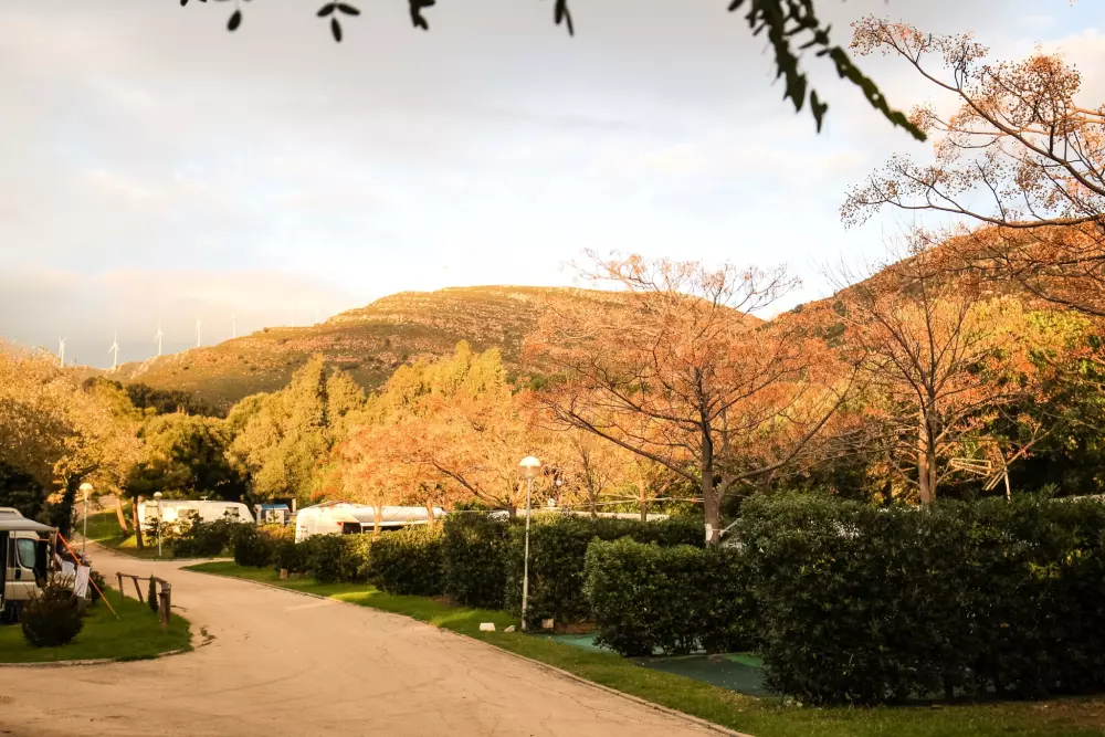 TAIGA Tarifa Valdevaqueros