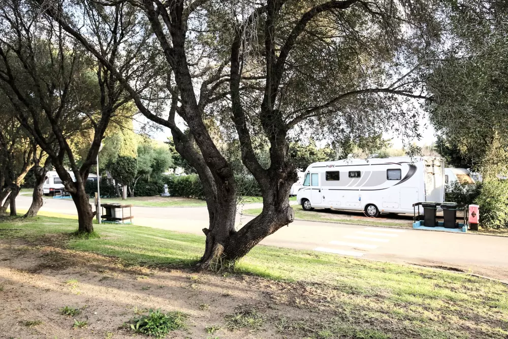 TAIGA Tarifa Valdevaqueros