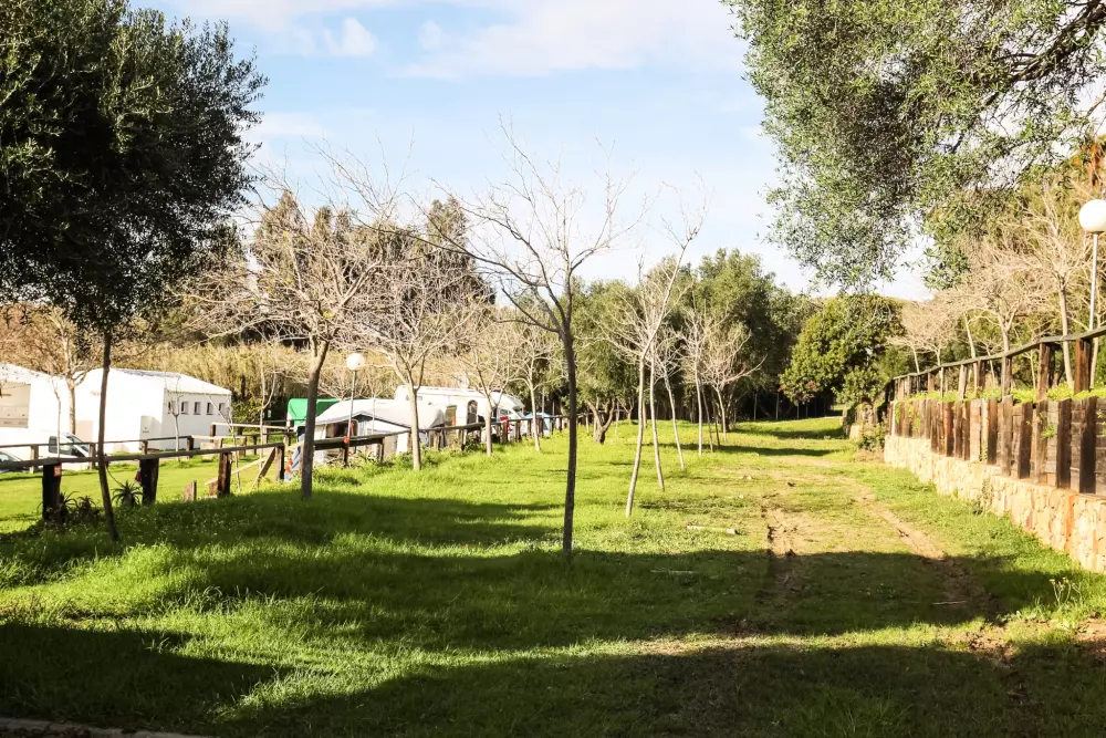 TAIGA Tarifa Valdevaqueros