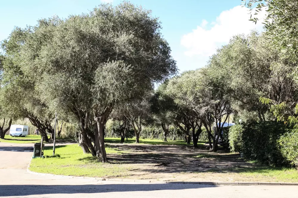 TAIGA Tarifa Valdevaqueros