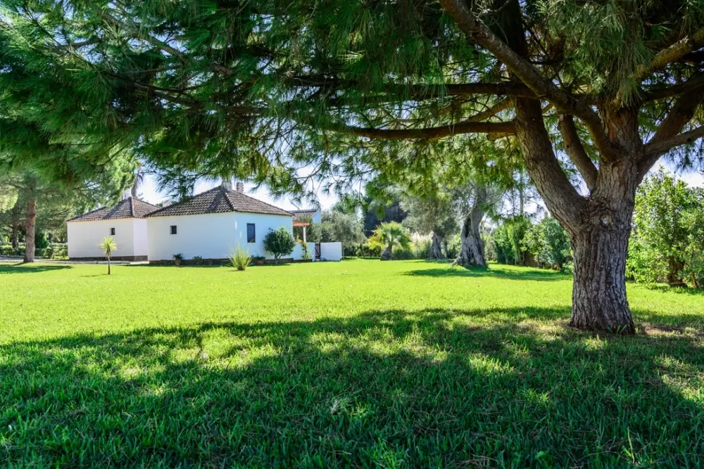Pedras Da Rainha Residence