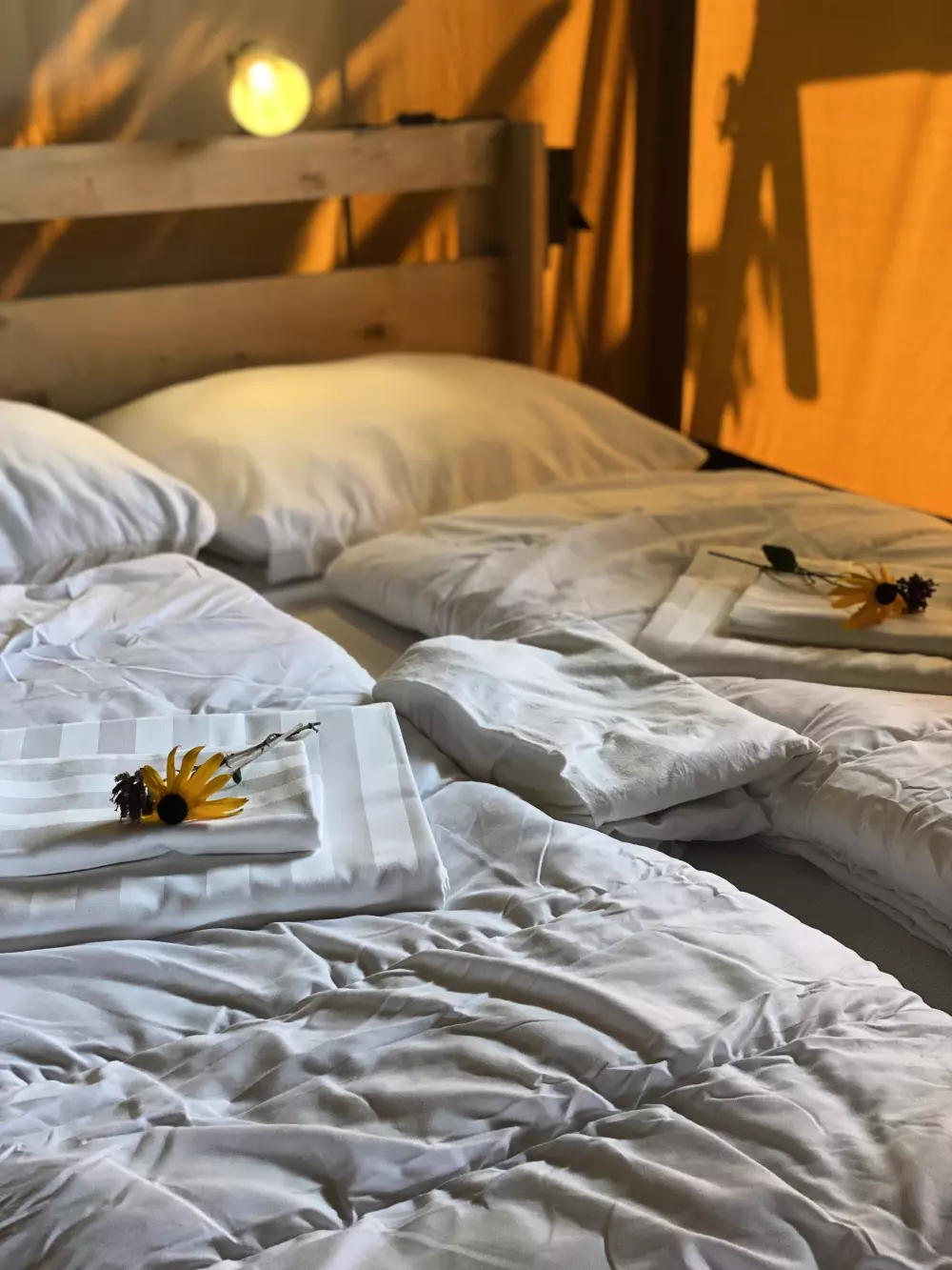 Camping Dal van de Mosbeek (Vodatent)