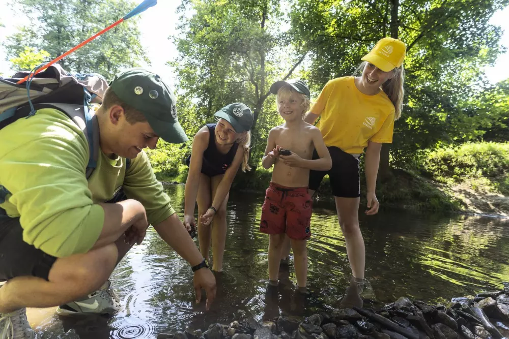 Camping Sadaya Parc La Clusure4 Csillagok★★★★