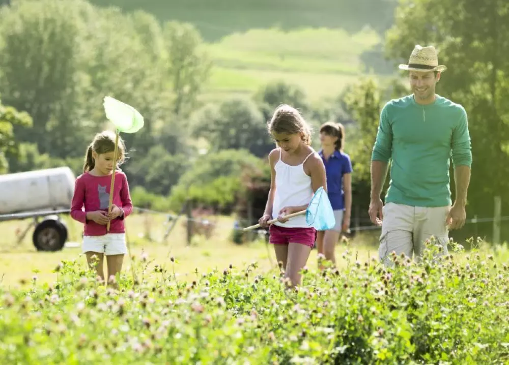 VVF Tence 3 Sterren★★★