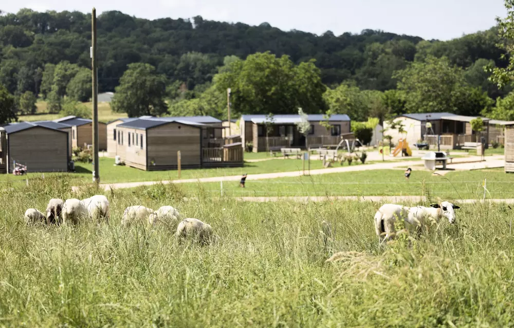 Campingplatz Le Ventoulou 41 Sterne★