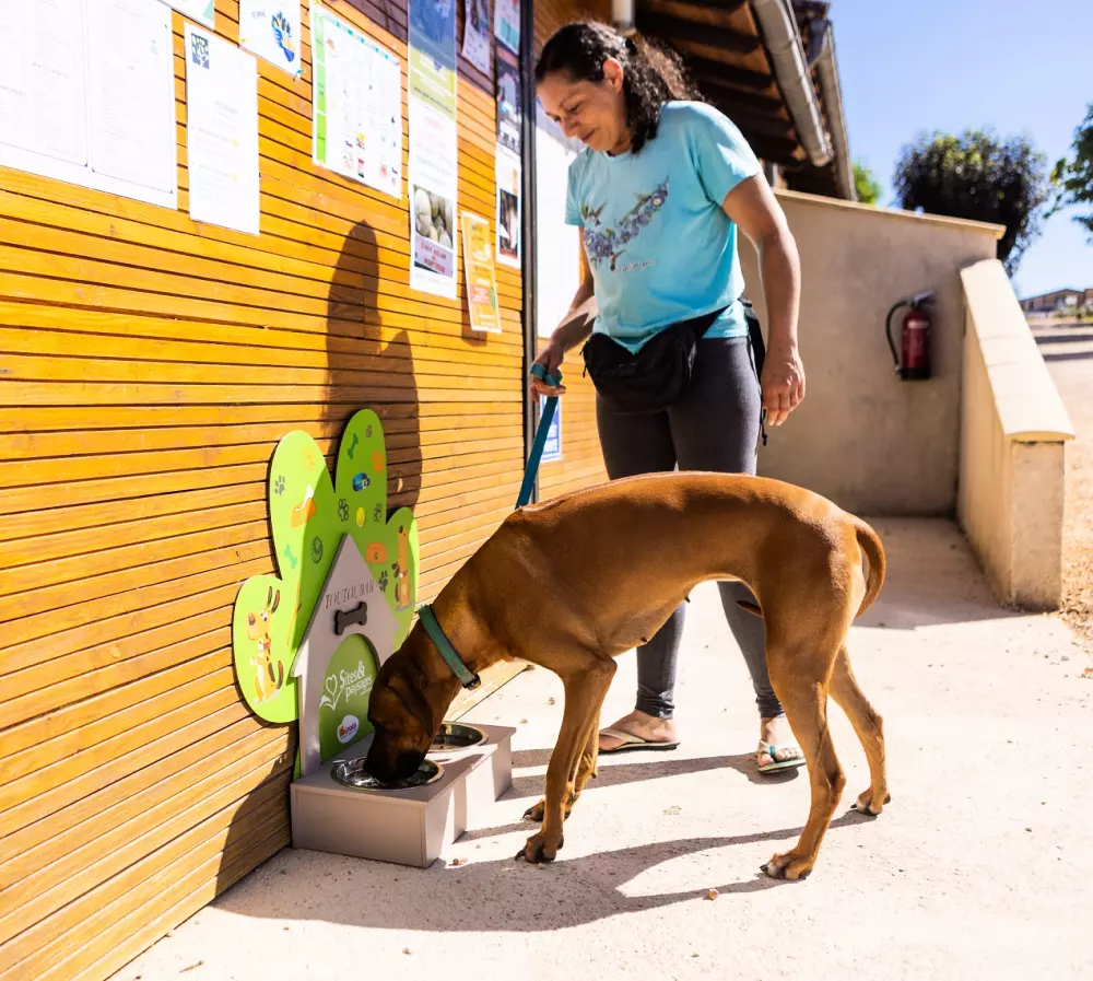 Campingplatz Le Ventoulou 41 Sterne★