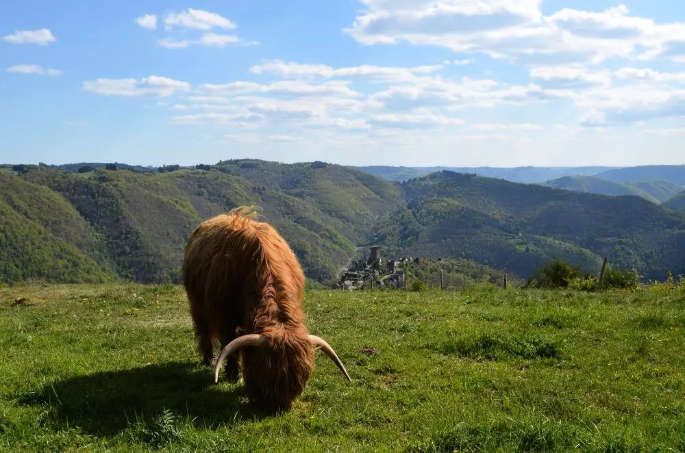 Camping Sunêlia La Source - Occitanie - Aveyron 4 étoiles★★★★