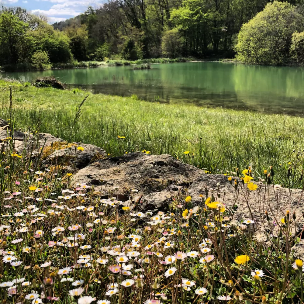 Camping maeva Escapades La Castillonderie 4 Stjerner★★★★