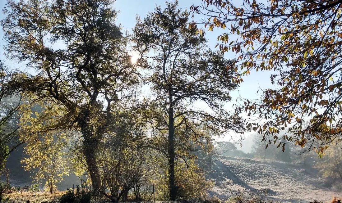Gîte de France Le clos des eiken 3 oren