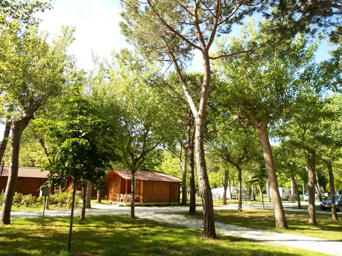 Club del Sole Viareggio Family Collection #