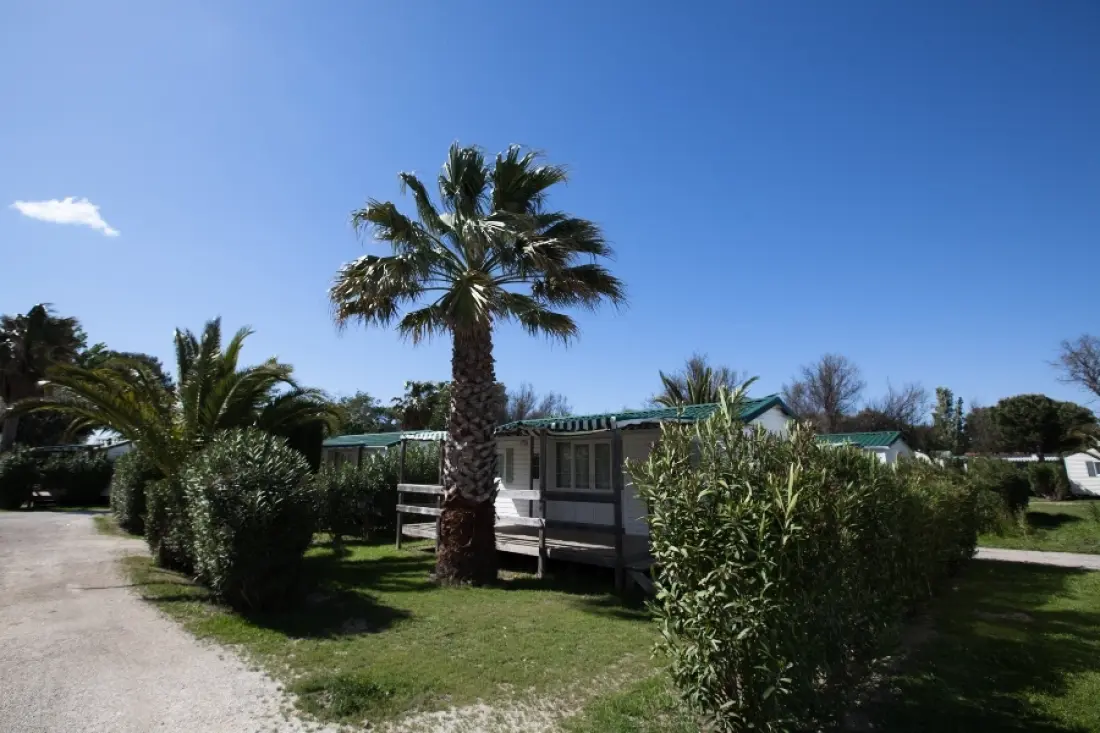 Camping Sandaya The Tropics 4 Stars★★★★