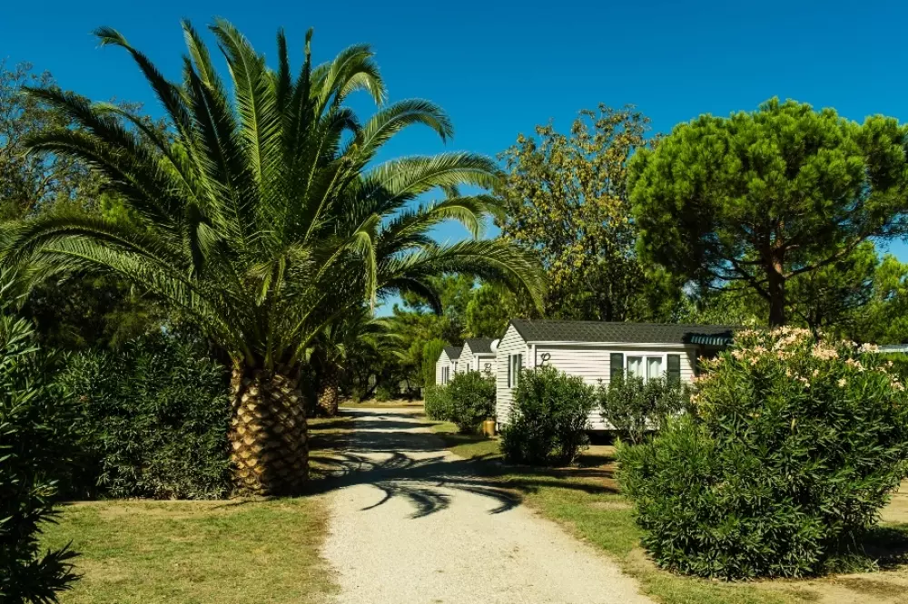 Camping Sandaya The Tropics 4 Sterren★★★★