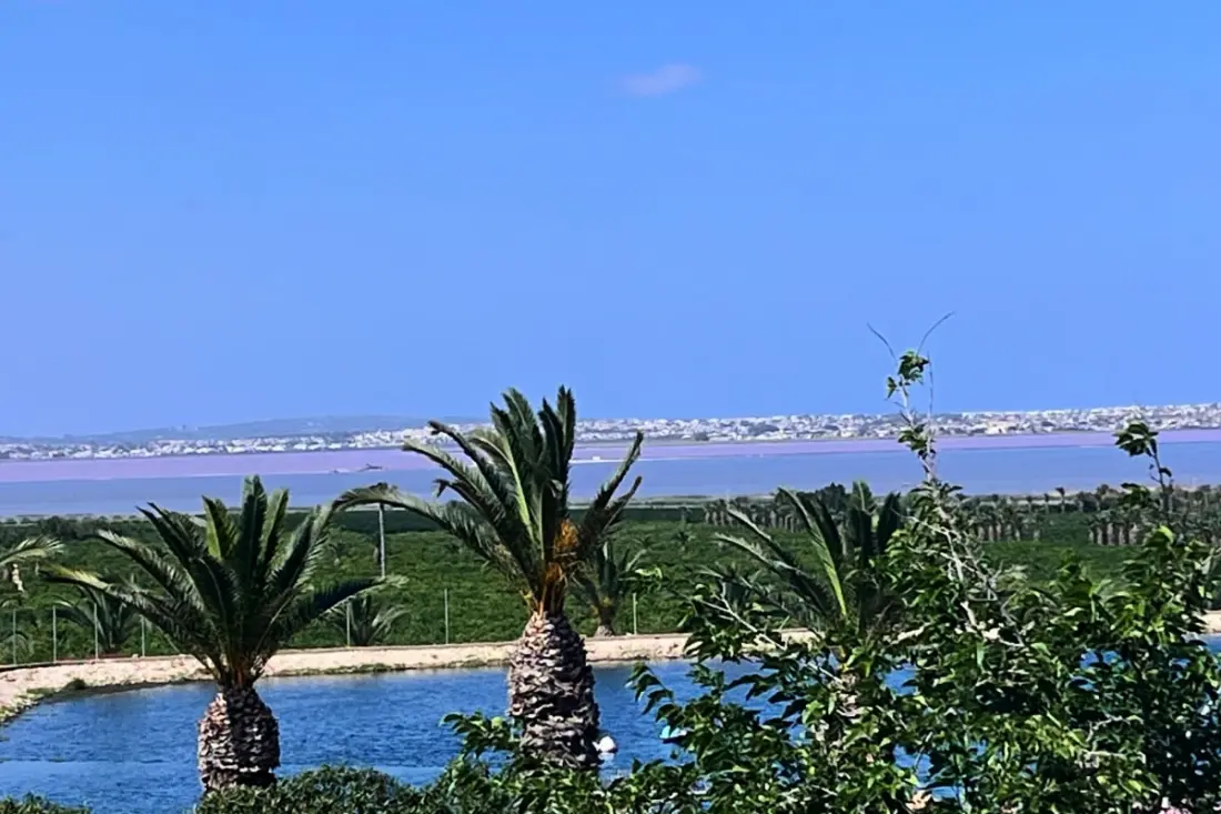 La Calienta: Lagoon Rose és úszómedence