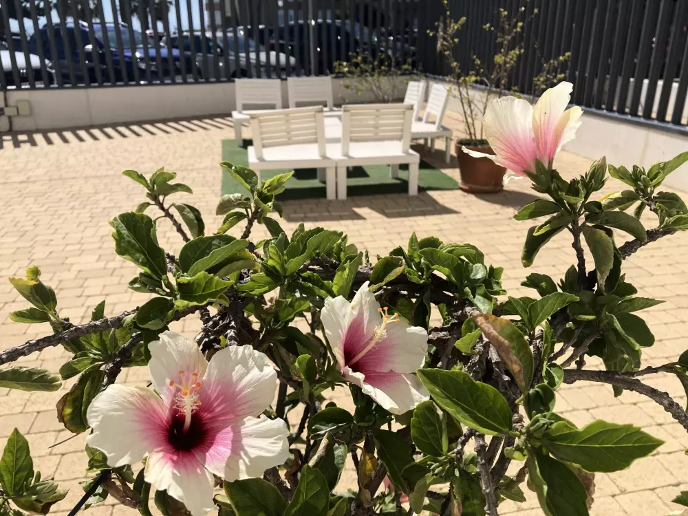 Vakantieverhuur Torrox Costa 89