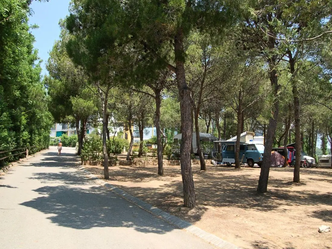 Cala llevado Sea Green: Sunêlia Útvonalterv