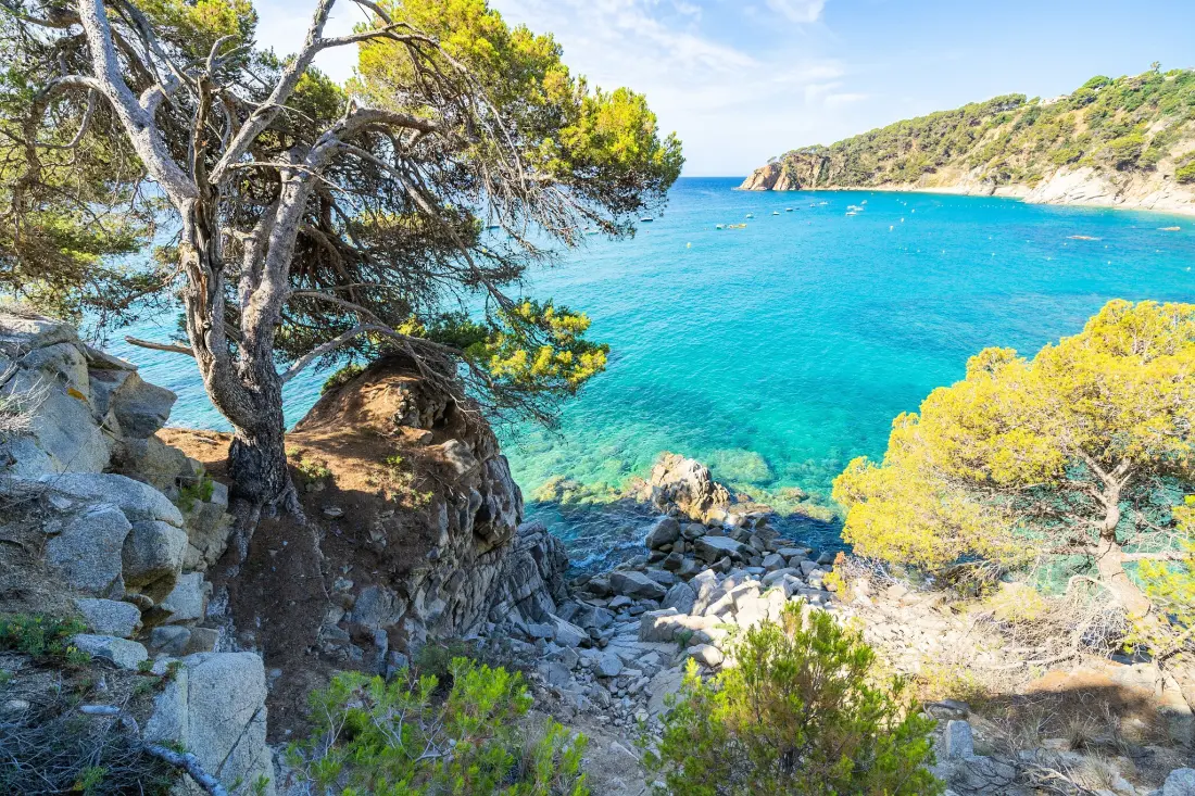 Campsite Cala LLevado