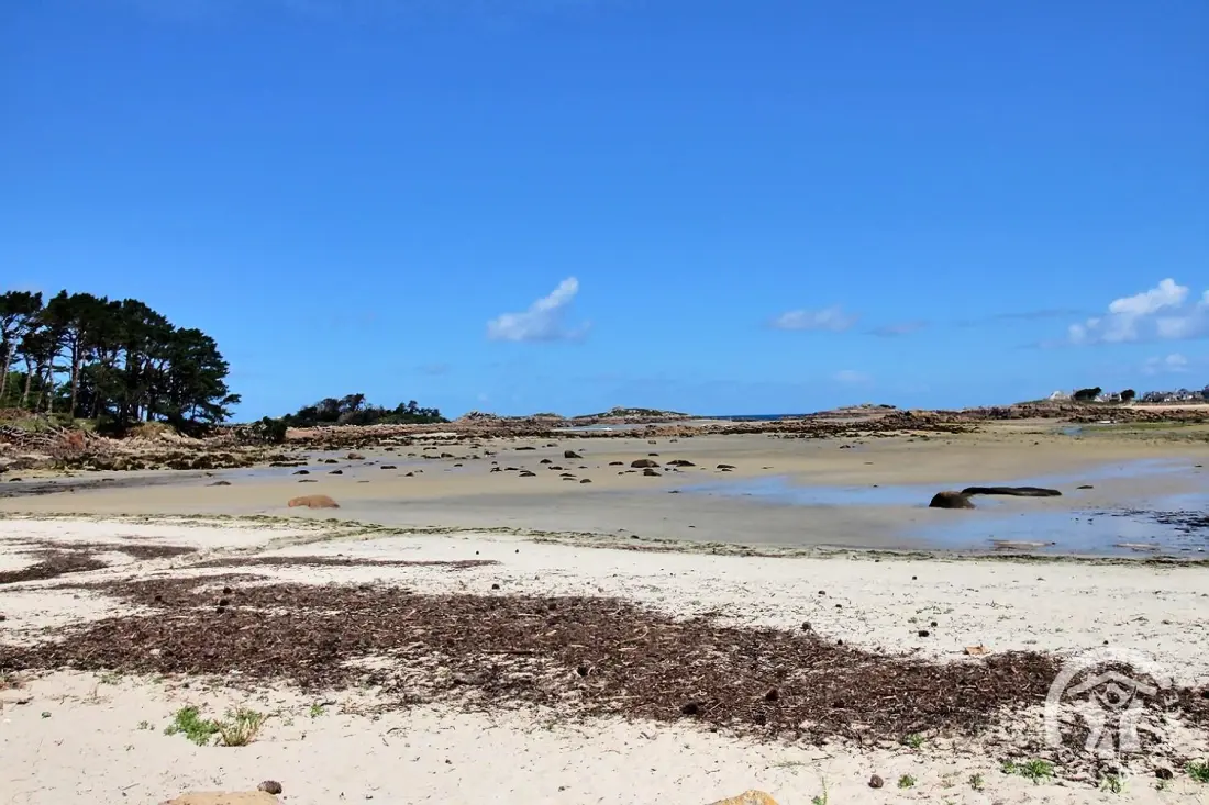 Gîte de France De maagdenpalm 4 oren