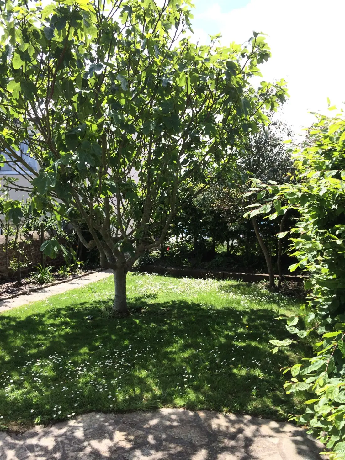 Residence D09-tregastel