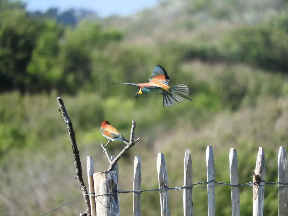 Campingplatz Kerlaz 3 Sterne★★★