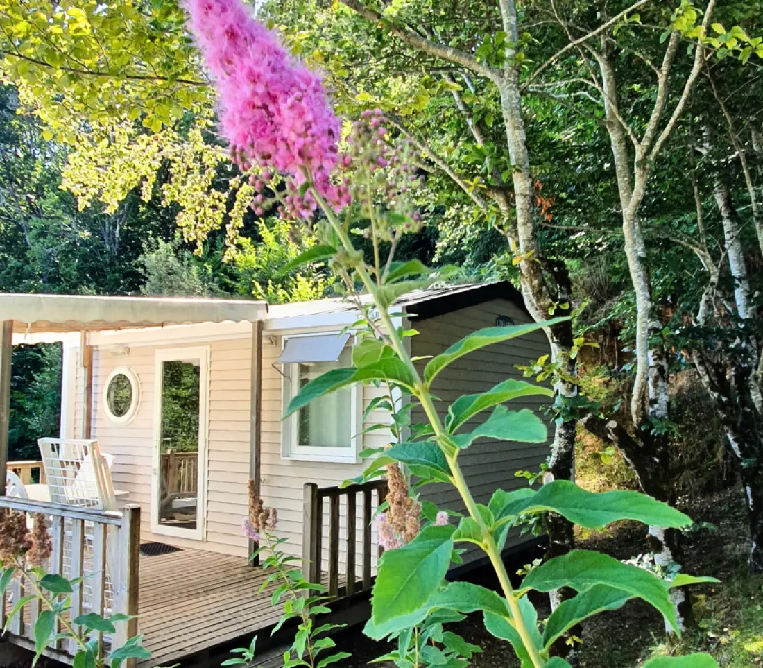 Flower Camping La Plage 3 étoiles★★★