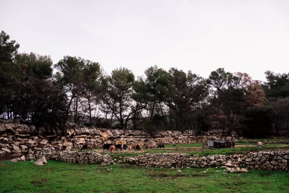 Regagnas - Parcel Tiny House