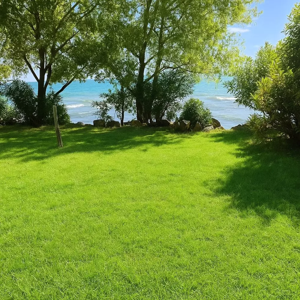 GLAMPING INTERNACIONAL LAGO DI BRACCIANO 3 Estrellas★★★