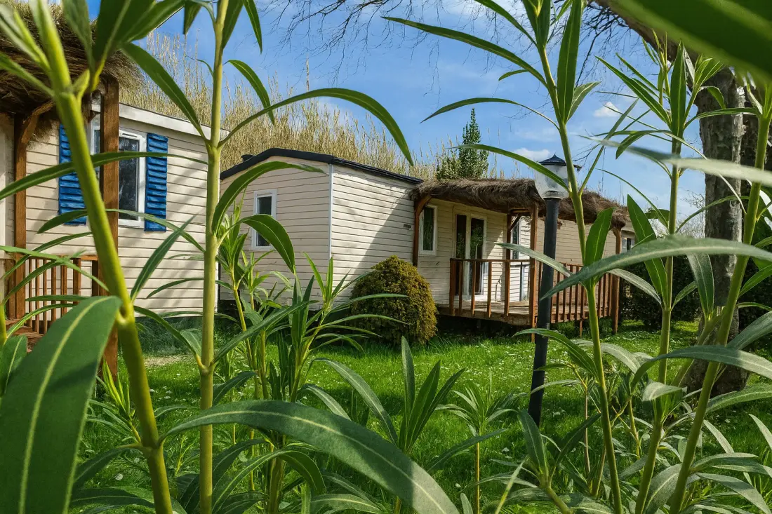 MIĘDZYNARODOWY GLAMPING LAGO DI BRACCIANO 3 Gwiazdy★★★
