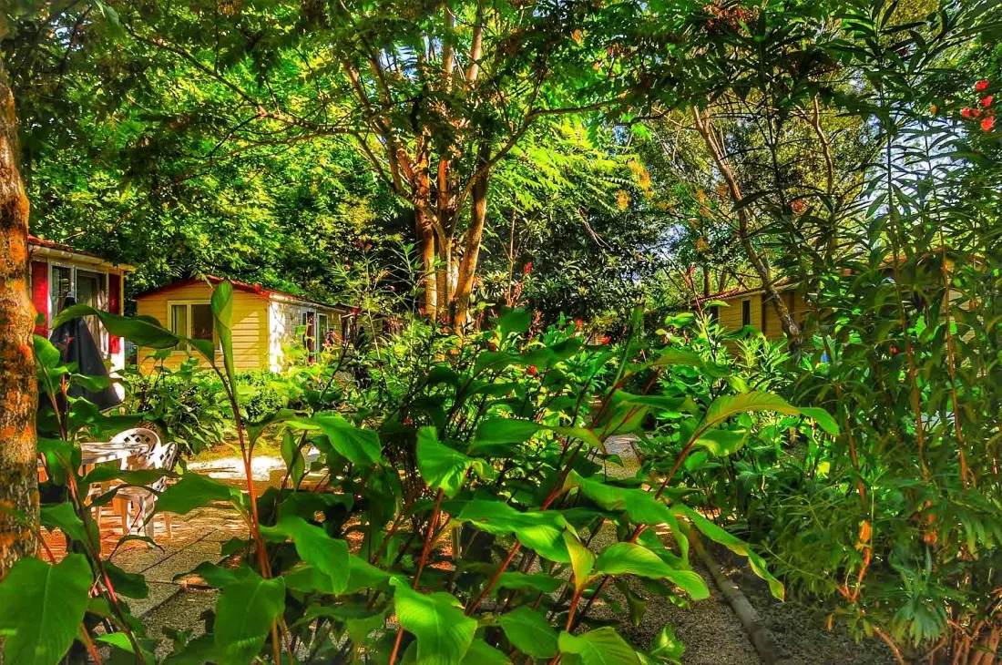 MIĘDZYNARODOWY GLAMPING LAGO DI BRACCIANO 3 Gwiazdy★★★
