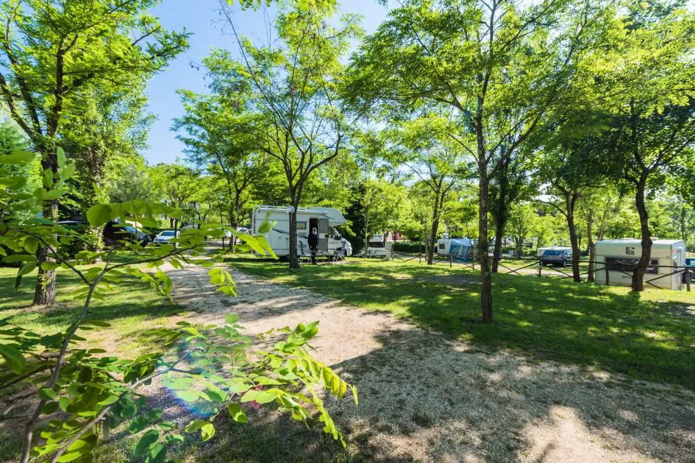 Camping Village Il Poggetto 3 Sterren★★★