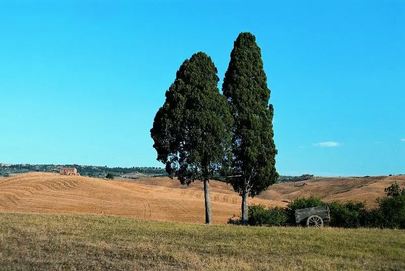 Camping Village Il Poggetto 3 Csillagok★★★