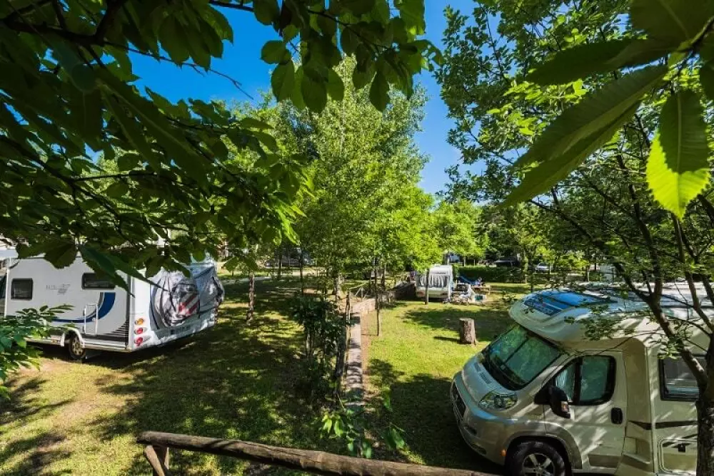 Camping Village Il Poggetto 3 Sterren★★★