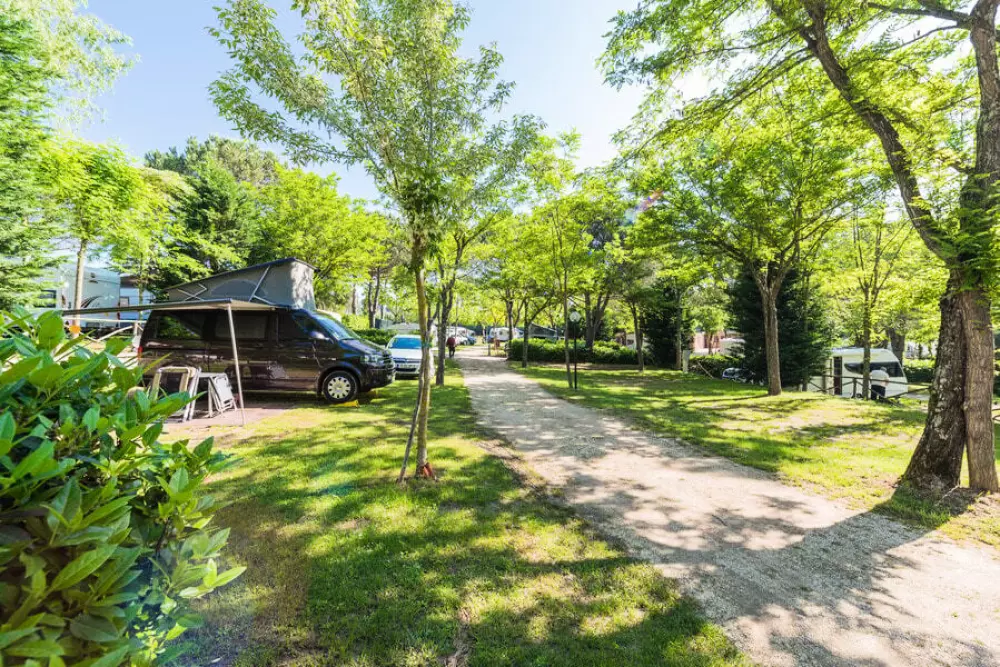 Camping Village Il Poggetto 3 Sterren★★★