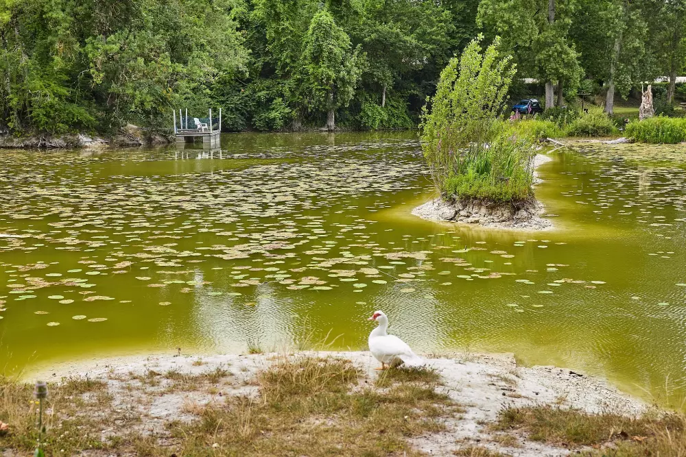 Camping Le Parc des Allais