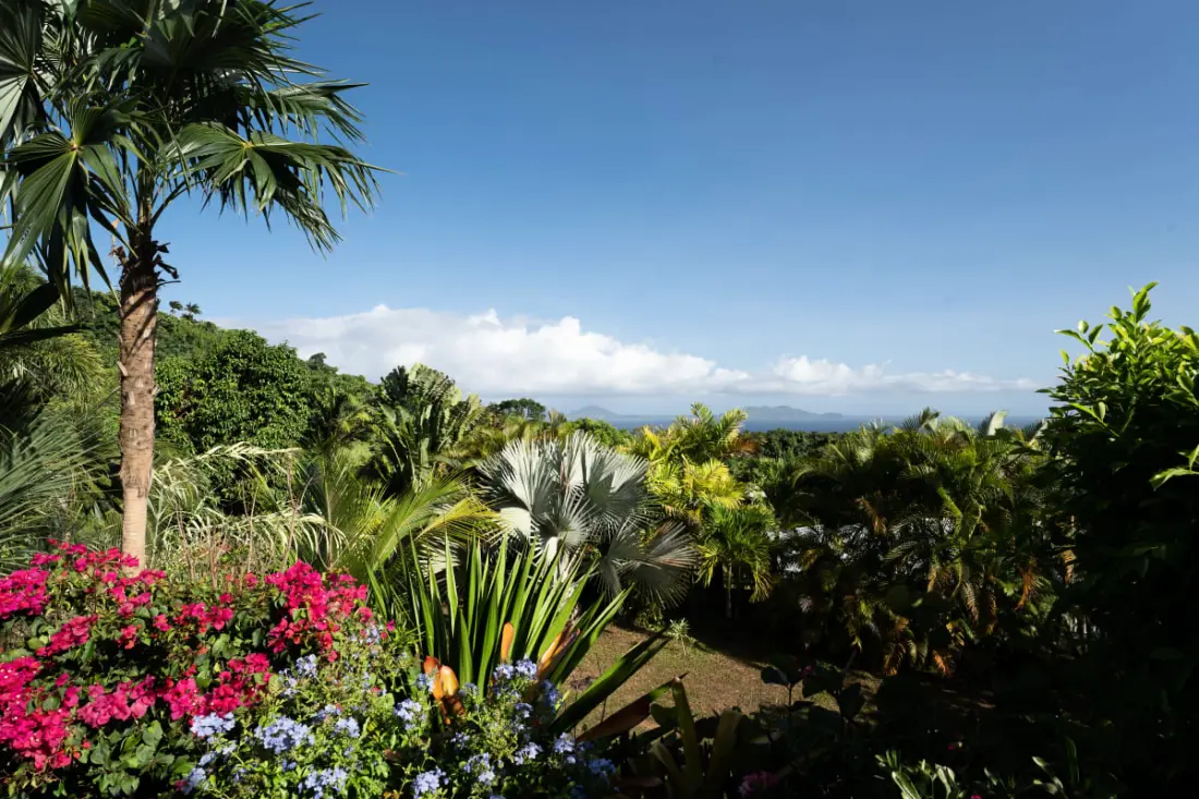 Villa Bananas Rouges