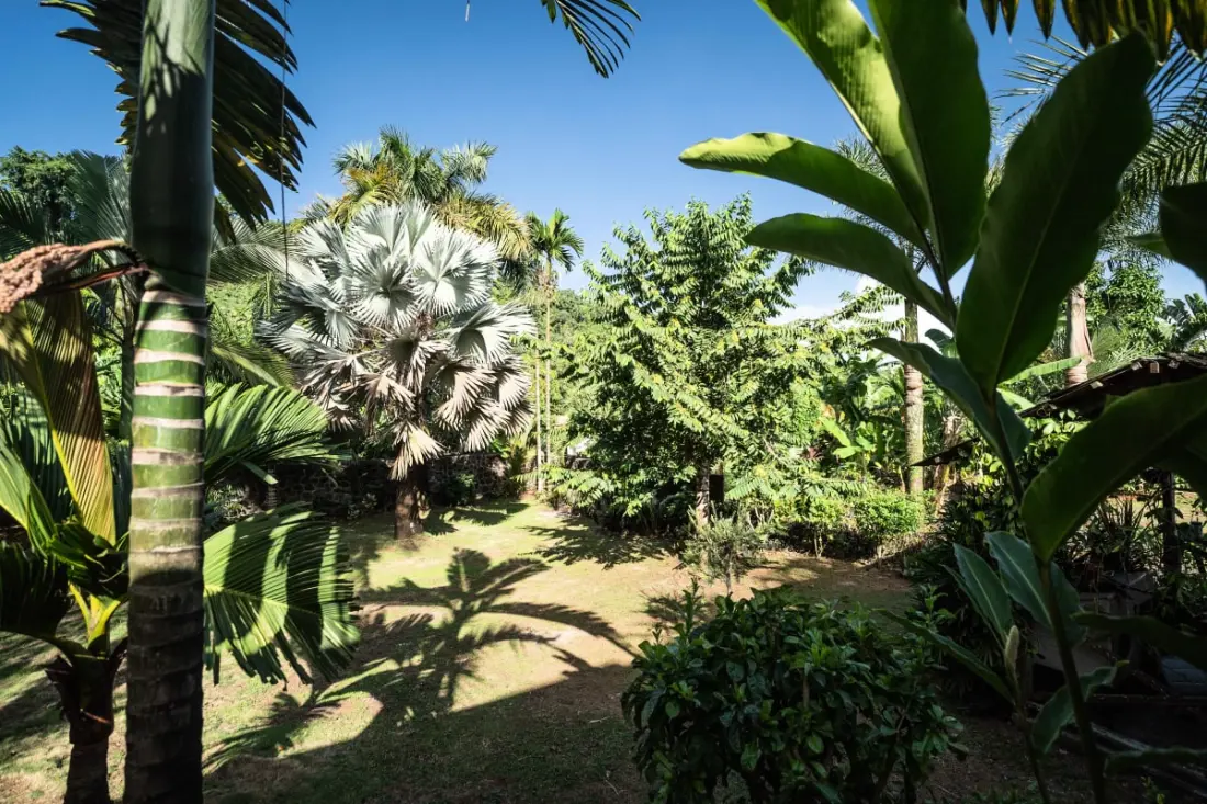 Villa Bananas Rouges