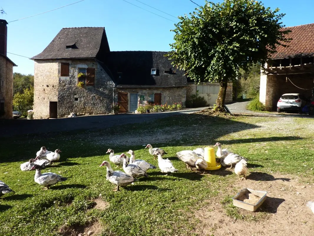 Gîte de France „A l'orée des bois“ 3 korenaren