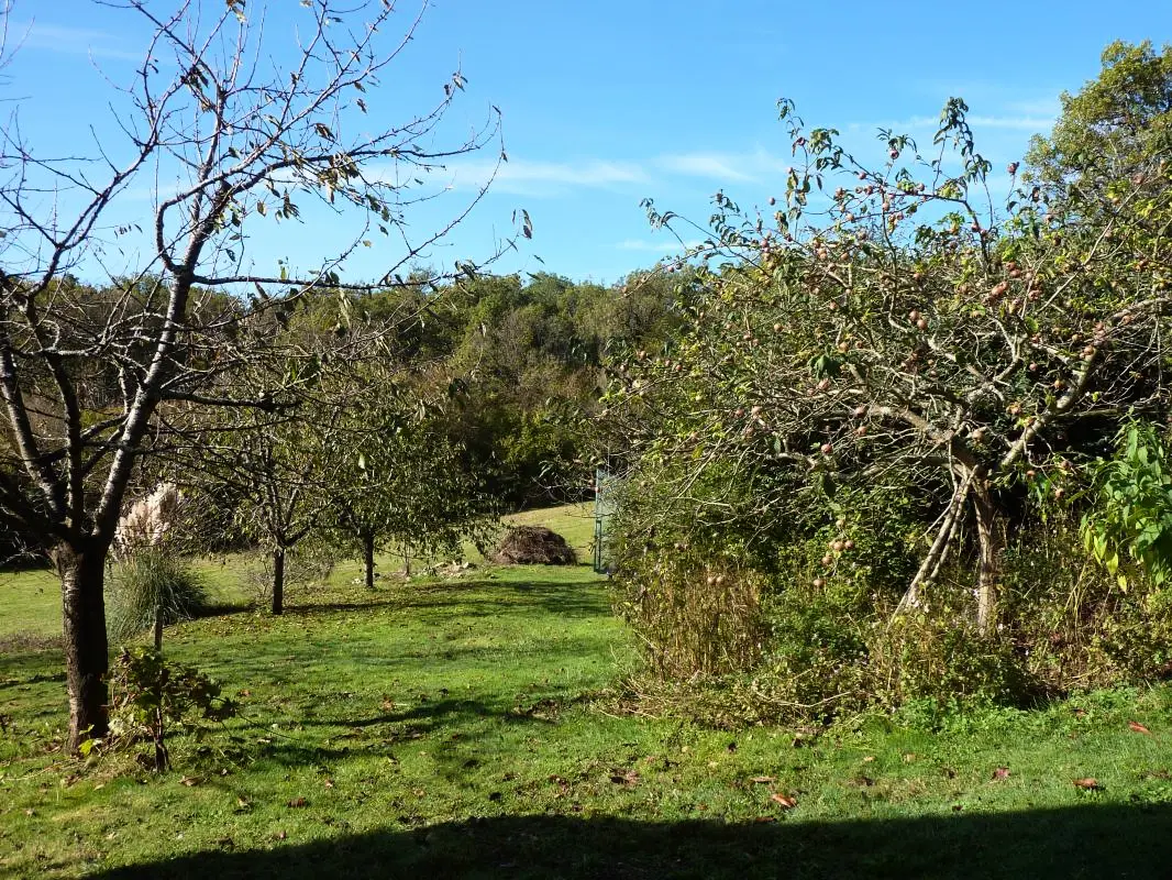 Gîte de France „A l'orée des bois“ 3 korenaren
