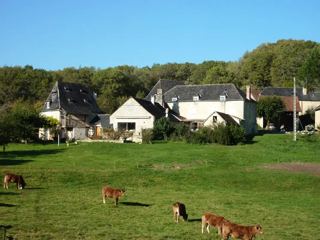 Gîte de France „A l'orée des bois“ 3 korenaren