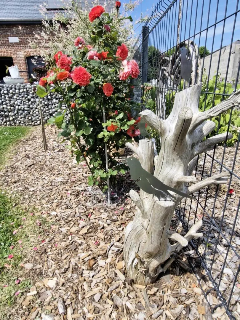 Gîte de France Gîtes de france® - l'hrondelle-l'hirondo 3 fül