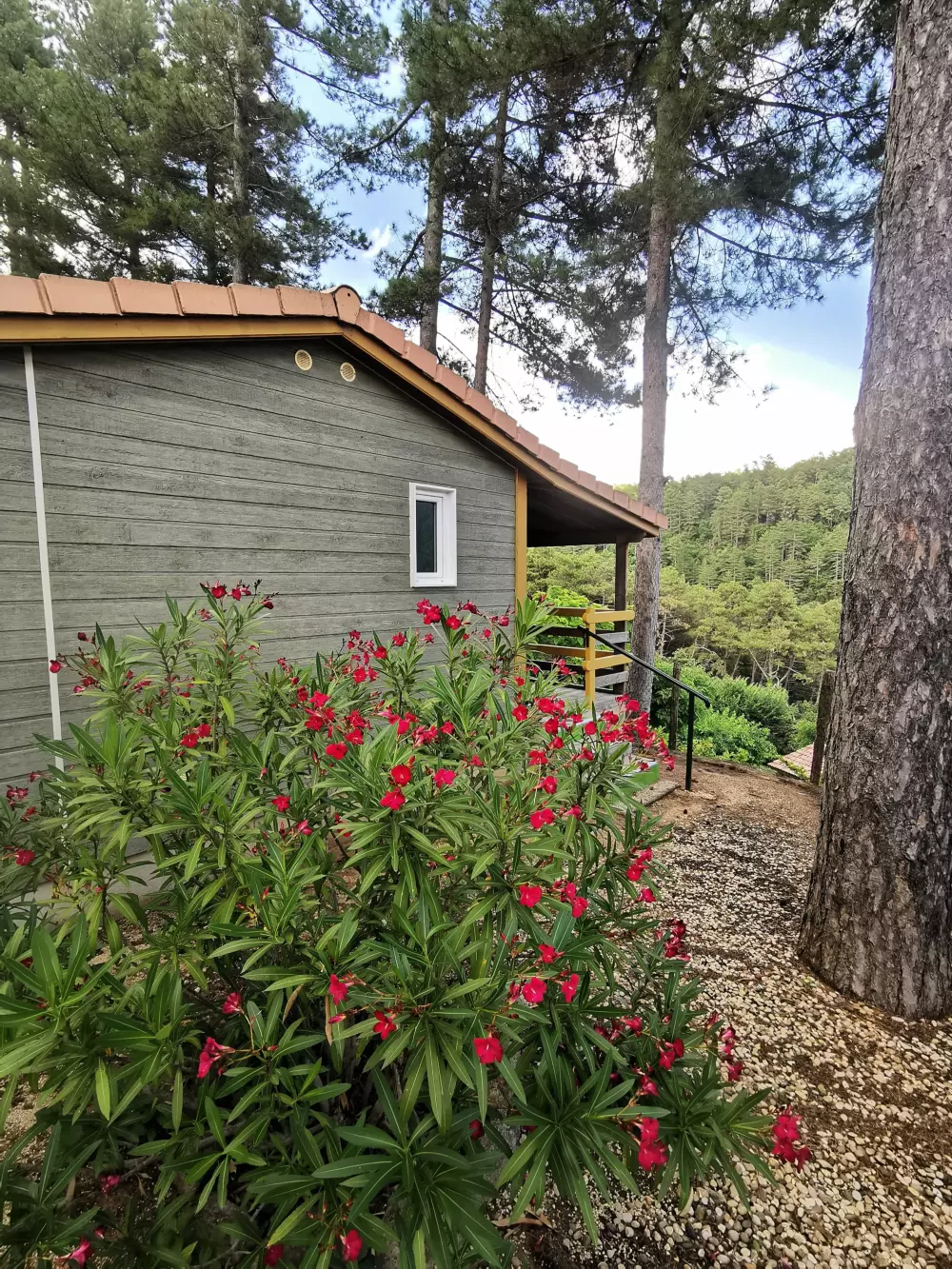 Kemping Ushuaïa Villages les Pins d'Ucel 4 Gwiazdy★★★★